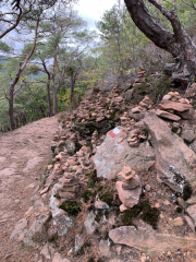 Bad-Duerkheim-10-2020-099