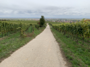 Bad-Duerkheim-10-2020-109