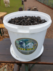 Bad-Duerkheim-10-2020-113