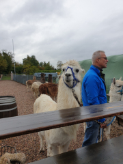 Bad-Duerkheim-10-2020-115