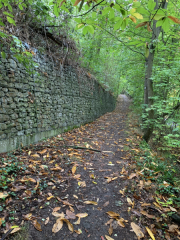 Bad-Duerkheim-10-2020-131