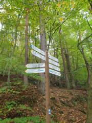 Bad-Duerkheim-10-2020-133