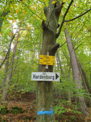 Bad-Duerkheim-10-2020-134