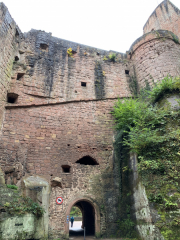 Bad-Duerkheim-10-2020-136