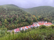 Bad-Duerkheim-10-2020-137