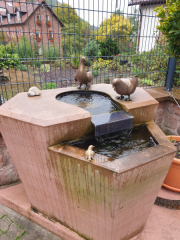 Bad-Duerkheim-10-2020-142