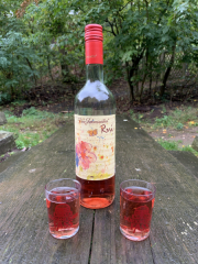 Bad-Duerkheim-10-2020-144