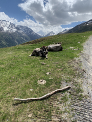Soelden-2021-102
