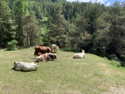 Soelden-2021-118