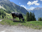 Soelden-2021-197