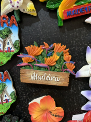 AIDAmar-Kanaren-Januar-2022-052