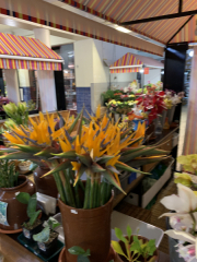 AIDAmar-Kanaren-Januar-2022-057