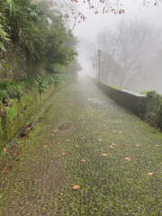 AIDAmar-Kanaren-Januar-2022-064