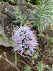 AIDAmar-Kanaren-Januar-2022-077