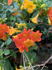 AIDAmar-Kanaren-Januar-2022-078