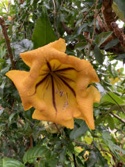 AIDAmar-Kanaren-Januar-2022-079