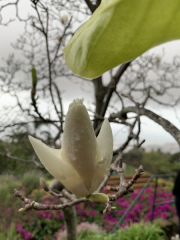 AIDAmar-Kanaren-Januar-2022-081