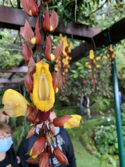 AIDAmar-Kanaren-Januar-2022-083