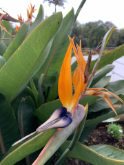 AIDAmar-Kanaren-Januar-2022-084