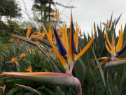 AIDAmar-Kanaren-Januar-2022-086