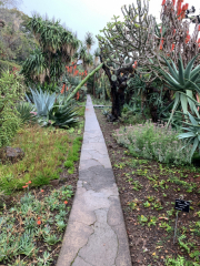 AIDAmar-Kanaren-Januar-2022-088