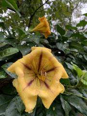 AIDAmar-Kanaren-Januar-2022-090