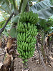 AIDAmar-Kanaren-Januar-2022-179