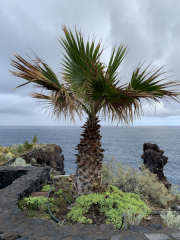 AIDAmar-Kanaren-Januar-2022-181