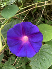 AIDAmar-Kanaren-Januar-2022-186