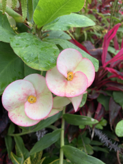 AIDAmar-Kanaren-Januar-2022-189