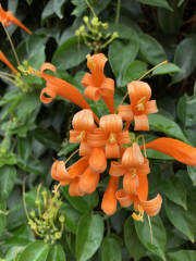 AIDAmar-Kanaren-Januar-2022-194