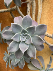 AIDAmar-Kanaren-Januar-2022-195