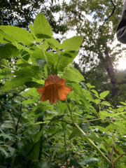 AIDAmar-Kanaren-Januar-2022-201