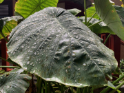 AIDAmar-Kanaren-Januar-2022-203