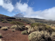 AIDAmar-Kanaren-Januar-2022-219