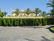 Makadi-Bay-05-2022-005