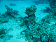 Makadi-Bay-05-2022-074