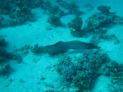 Makadi-Bay-05-2022-075