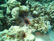 Makadi-Bay-05-2022-077