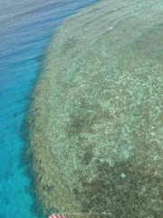 Makadi-Bay-05-2022-110