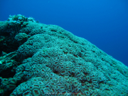 Makadi-Bay-05-2022-126