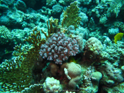 Makadi-Bay-05-2022-135