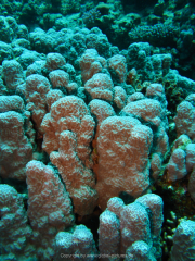 Makadi-Bay-05-2022-136