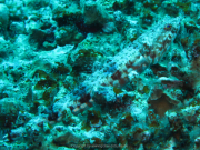 Makadi-Bay-05-2022-139