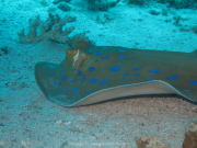 Makadi-Bay-05-2022-140
