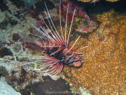 Makadi-Bay-05-2022-145