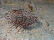 Makadi-Bay-05-2022-146