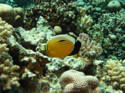 Makadi-Bay-05-2022-154