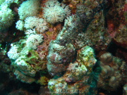 Makadi-Bay-05-2022-157