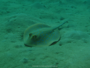 Makadi-Bay-05-2022-185